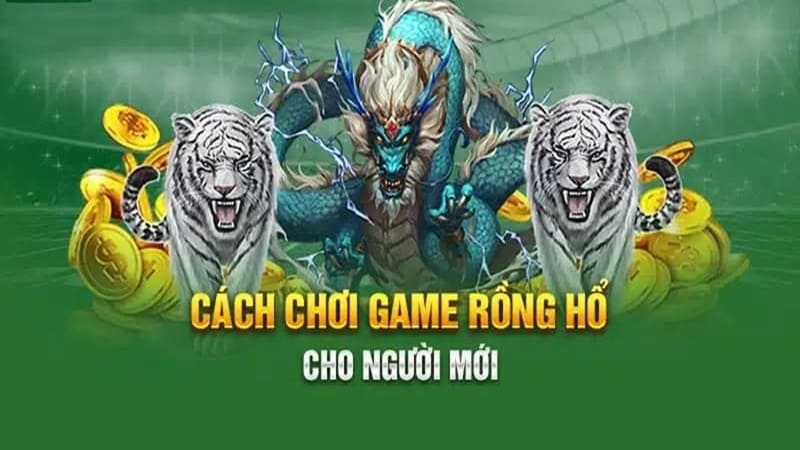 Hướng dẫn chơi Game Rồng Hổ tại nhà cái 8Kbet