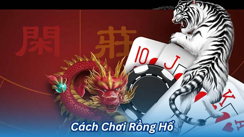 cách chơi rồng hổ