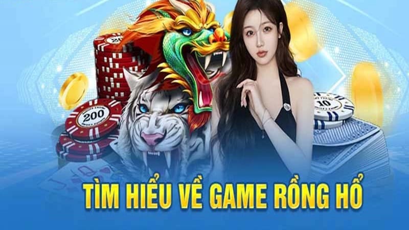 Cách chơi Rồng Hổ tại 8Kbet 